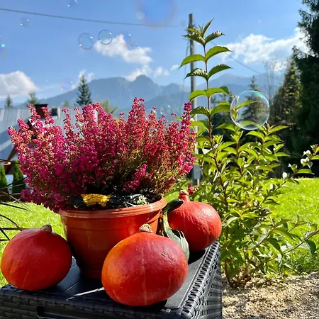 Maly Bystry Kościelisko