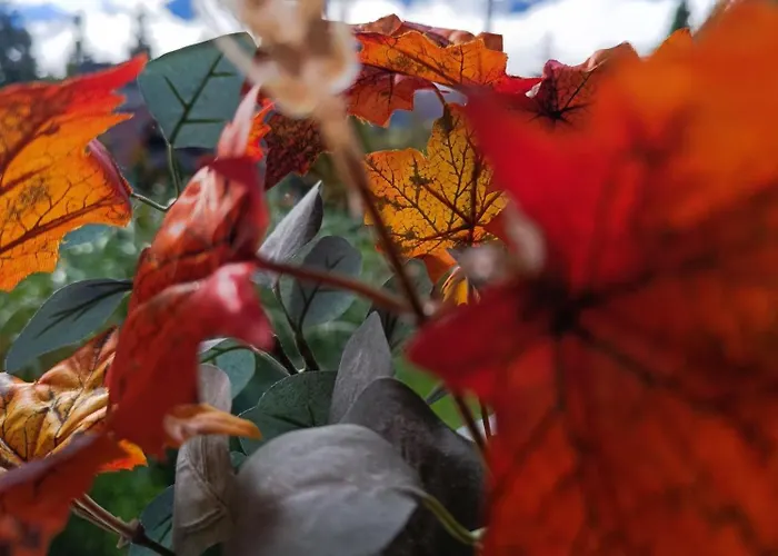 Maly Bystry コシチェリスコ